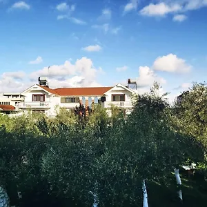Kasa Apartamento